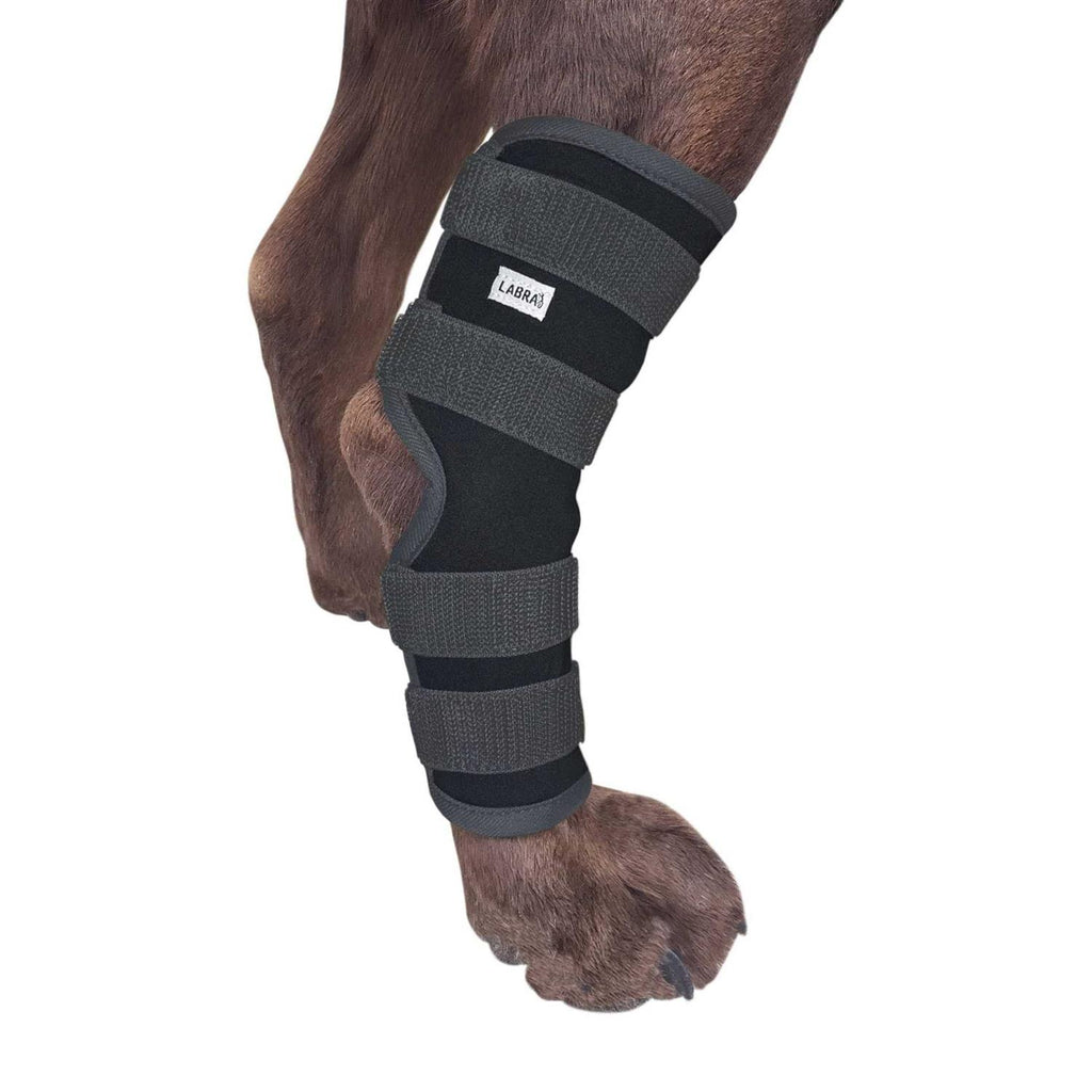 Dog Rear Leg Hock Joint Compression Wrap Z2974