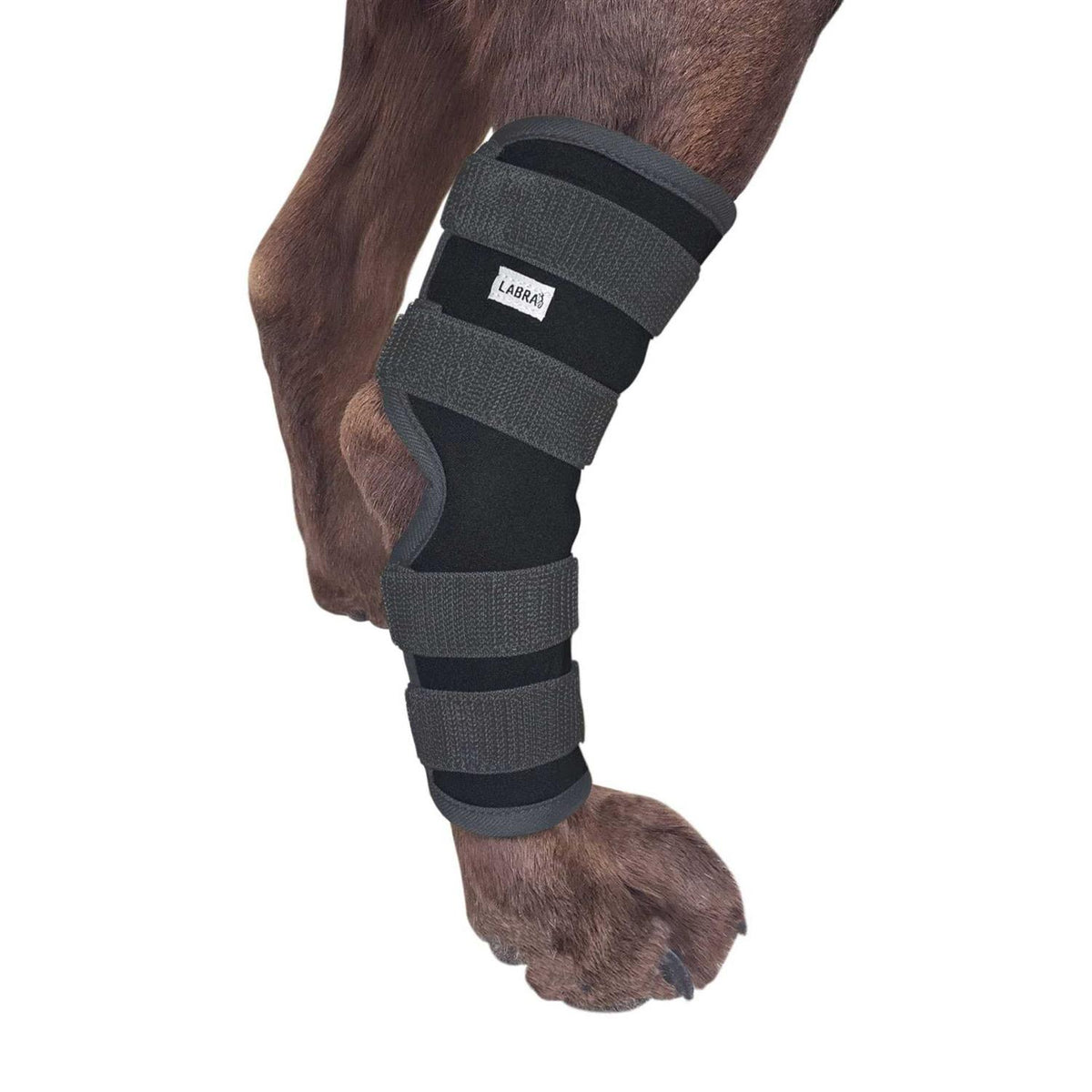 Dog Rear Leg Hock Joint Compression Wrap Z2974