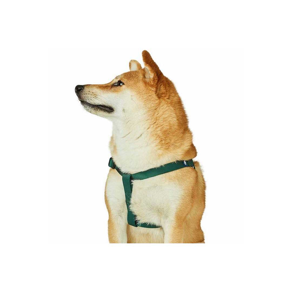 Classic Solid Nylon Step-In Dog Harness O27892