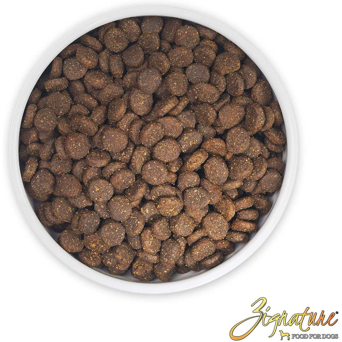 Trout & Salmon Formula Dry Dog Food B4301