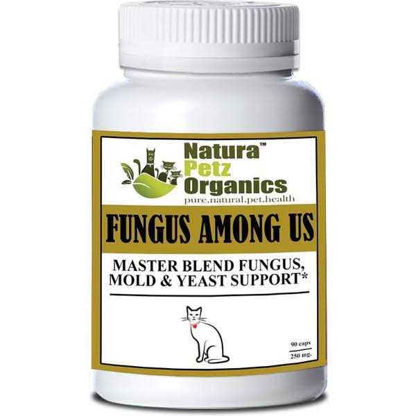 Capsules For Dogs And Cats N1701