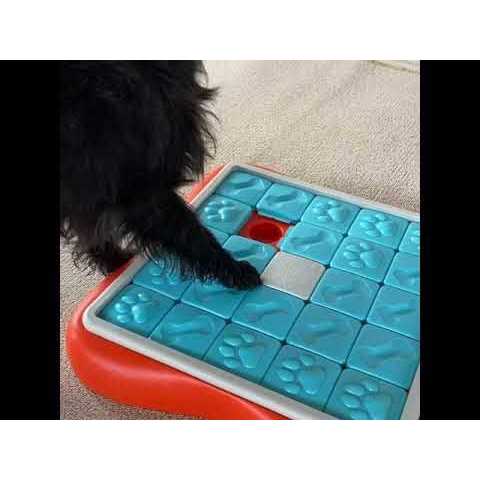 Dog Puzzle Toy M467