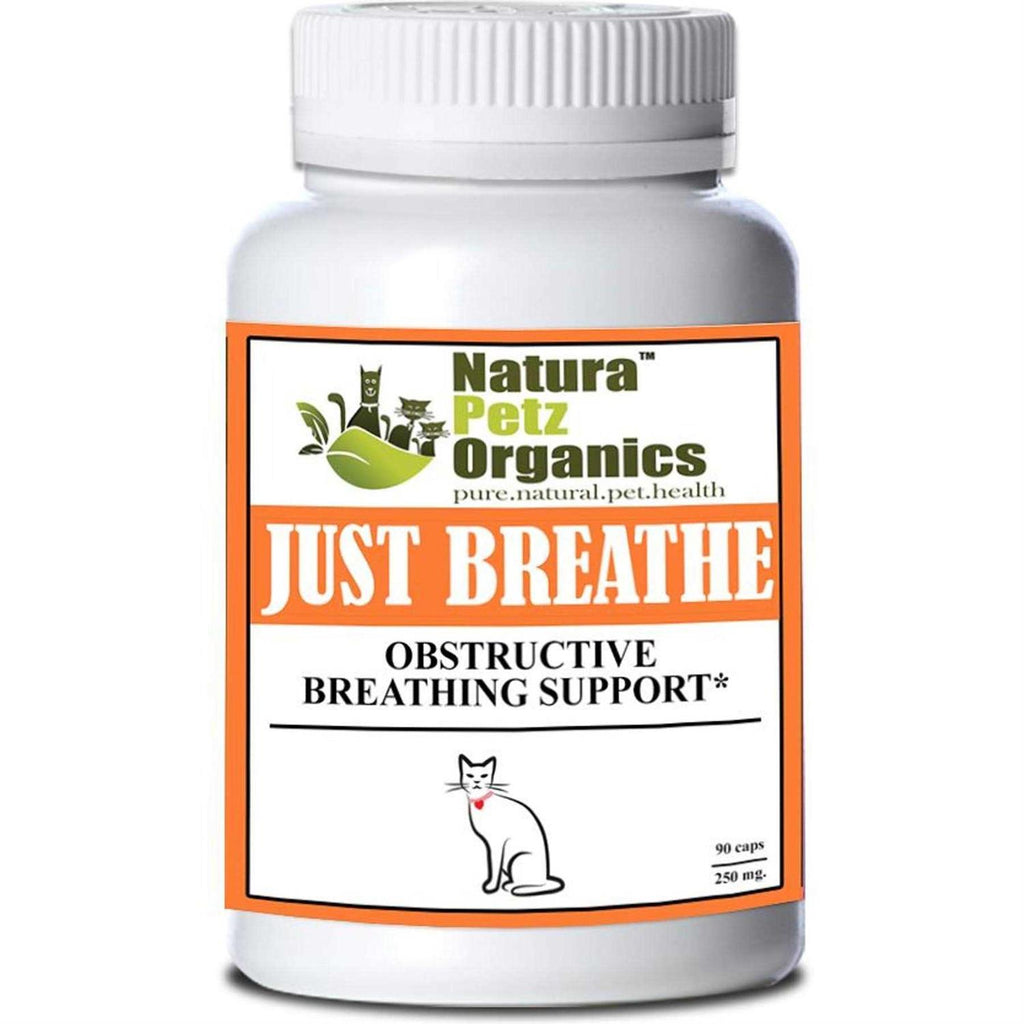 Capsules For Dogs And Cats N1701
