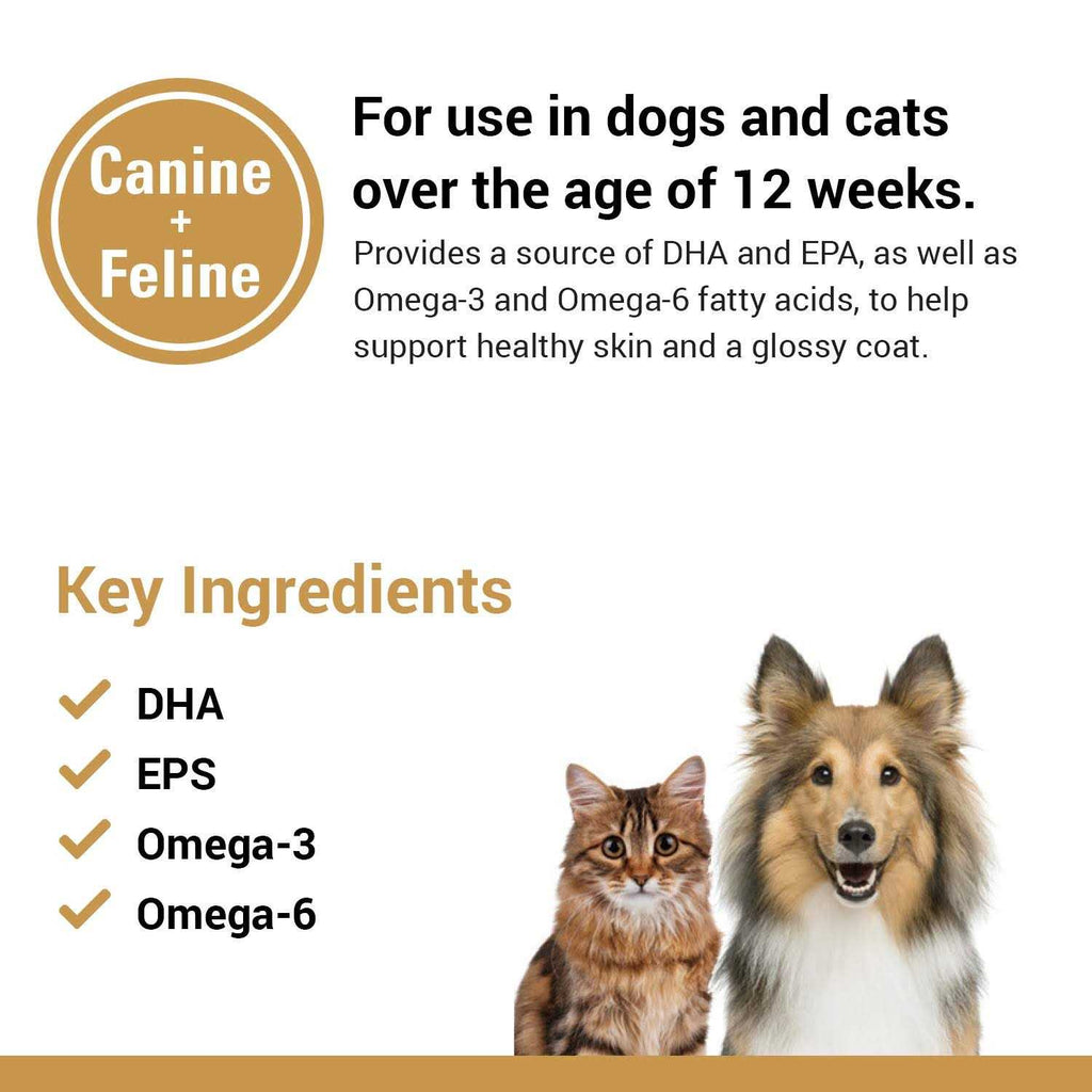 Salmon Oil Soft Chews D8934