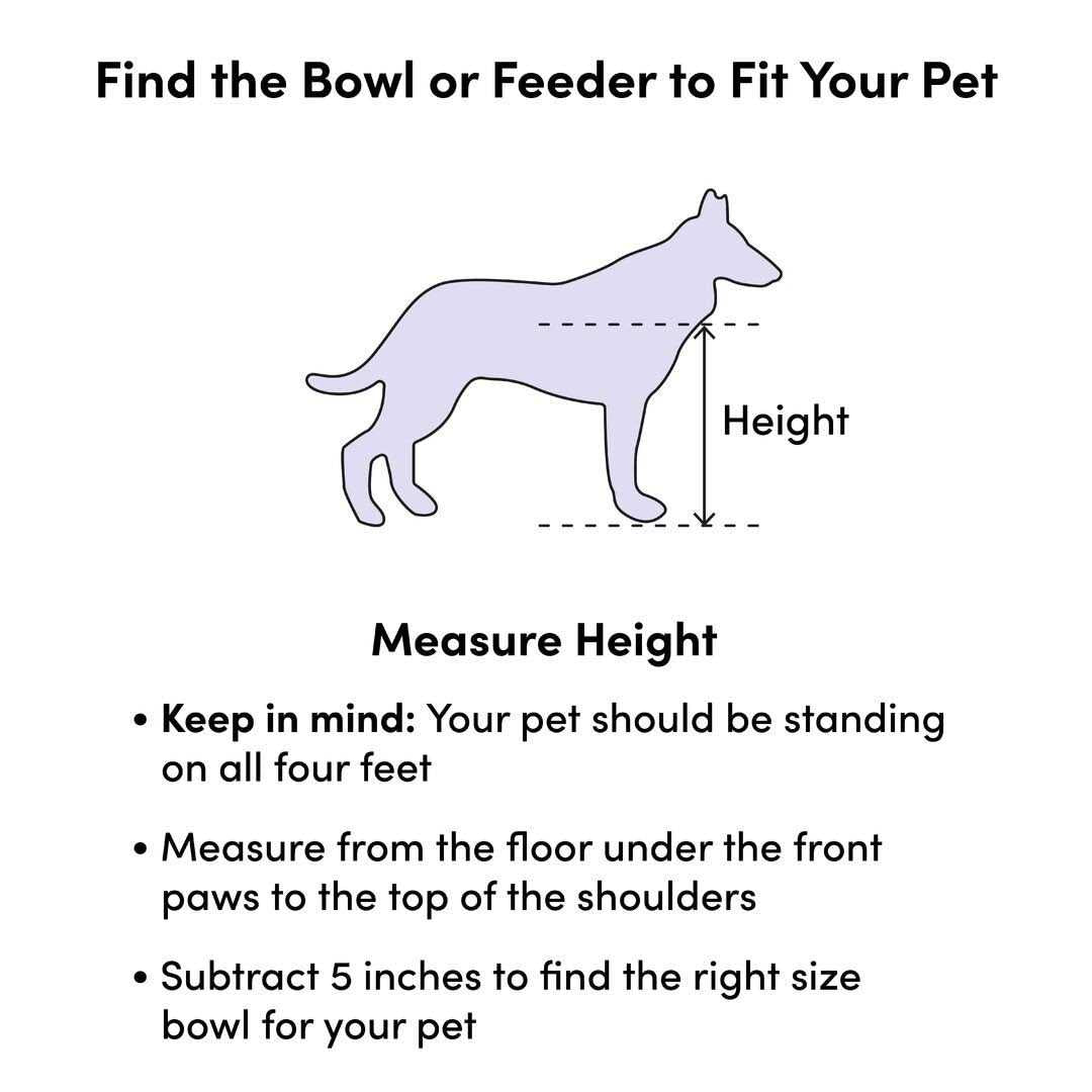 Pet Training and Puppy Pad Holder R627224