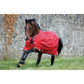Black/Teal Turnout Sheet Z2724