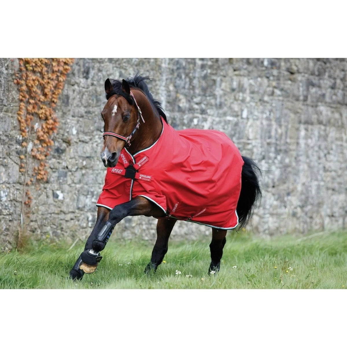 Black/Teal Turnout Sheet Z2724