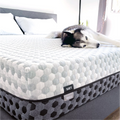 Queen Copper Infused Memory Foam Mattress N4925