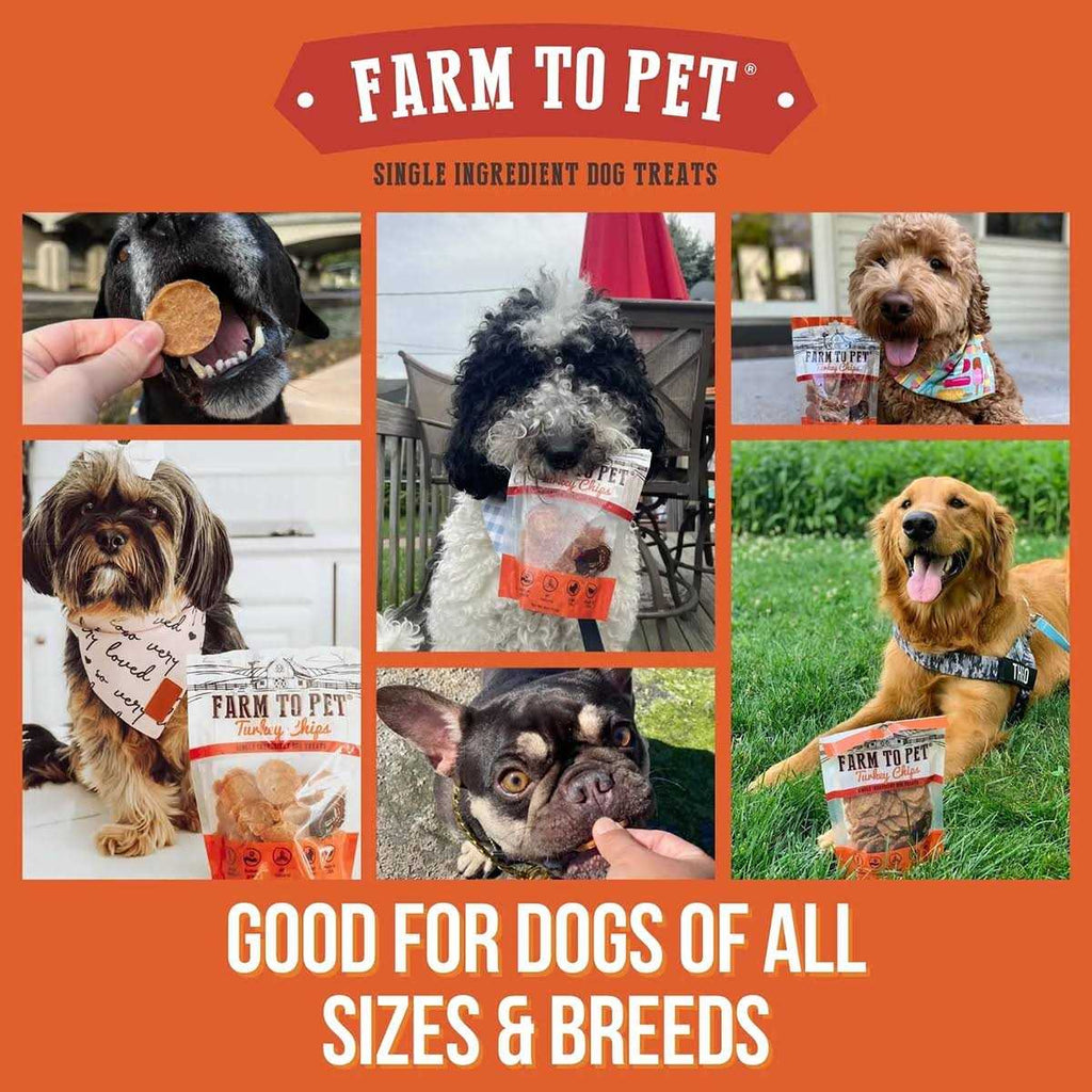 Turkey Chips Dog Treats M830