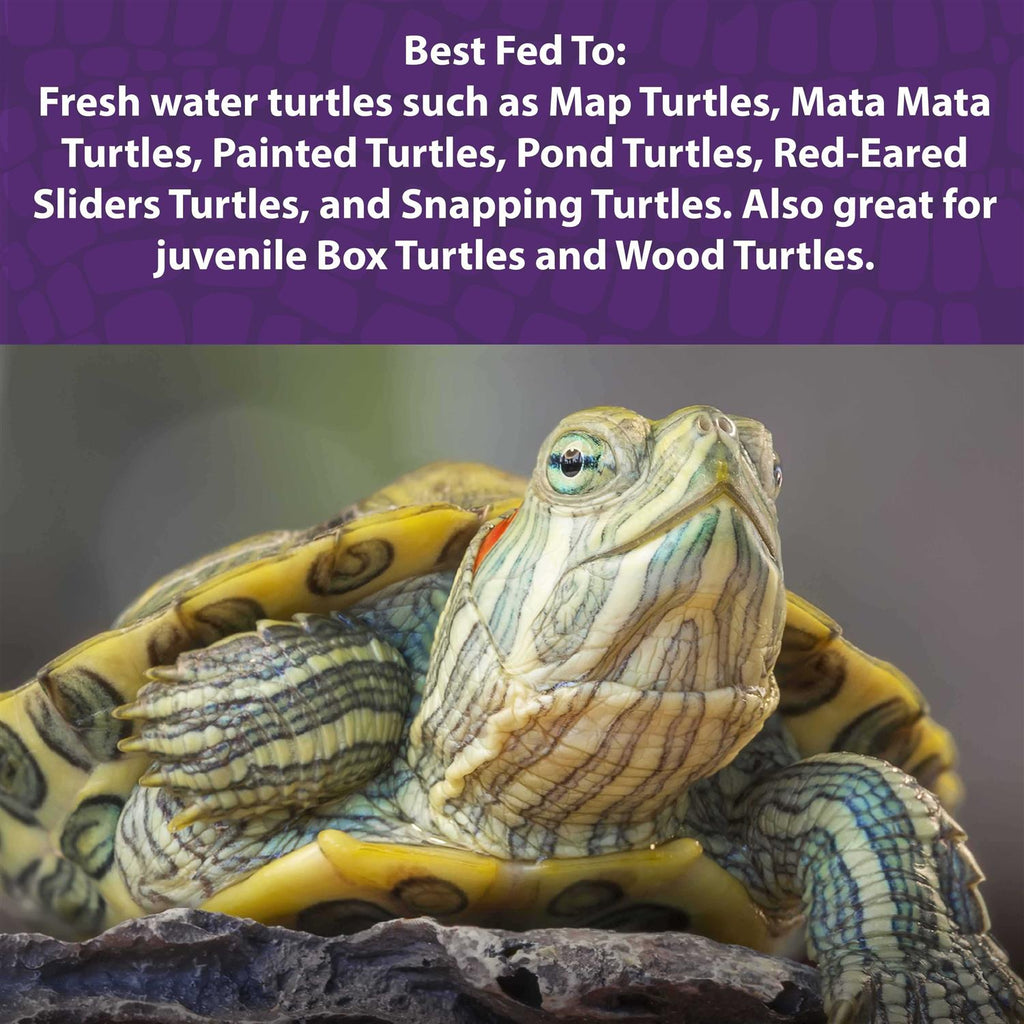 Aquatic Turtle Gel B25521