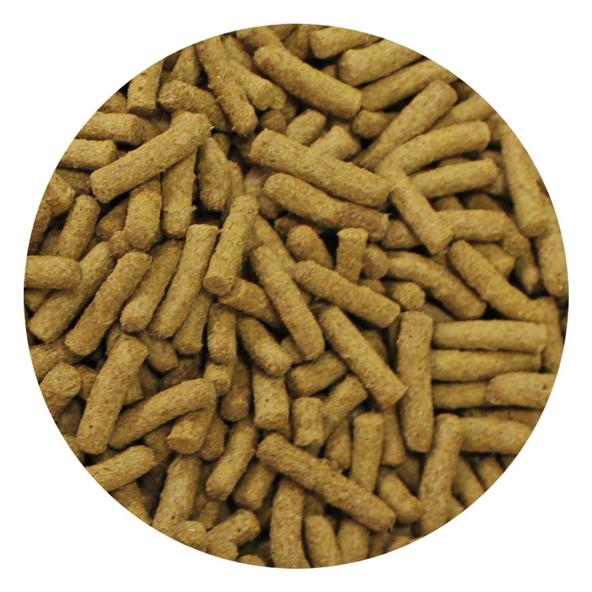 Insectivore Diet G749921