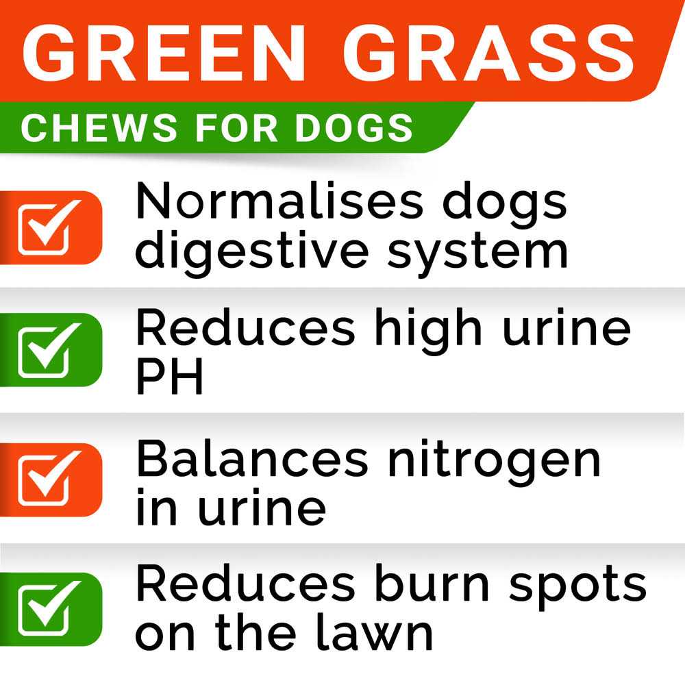 Grass Burn Spot Chews for Dogs E748419