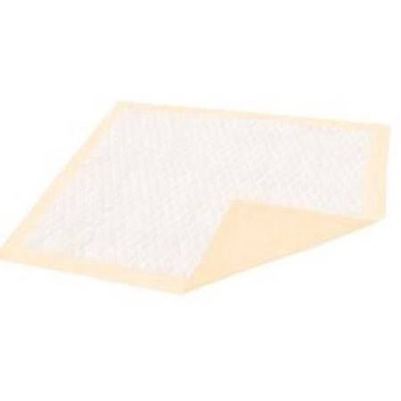 Disposable Underpad 30 x 36 inch Case of 100 K797456