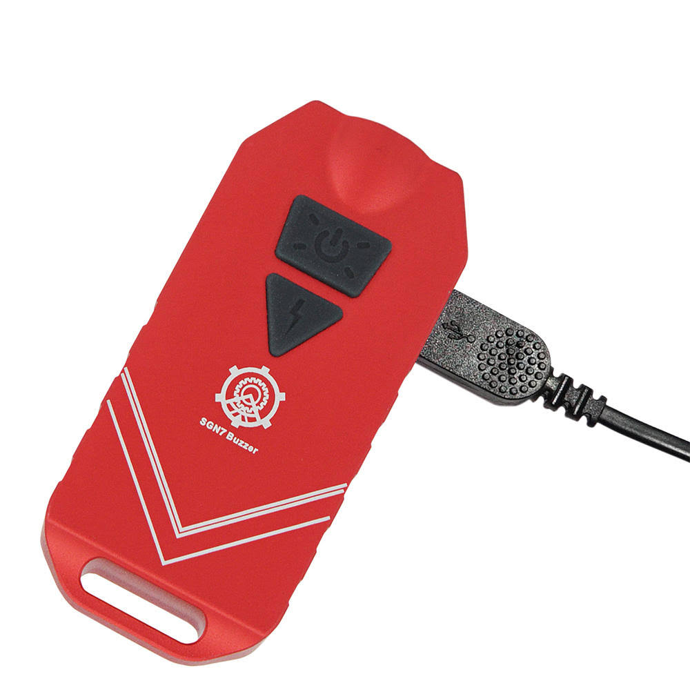 550 Lumens USB Rechargeable Flashlight T5119