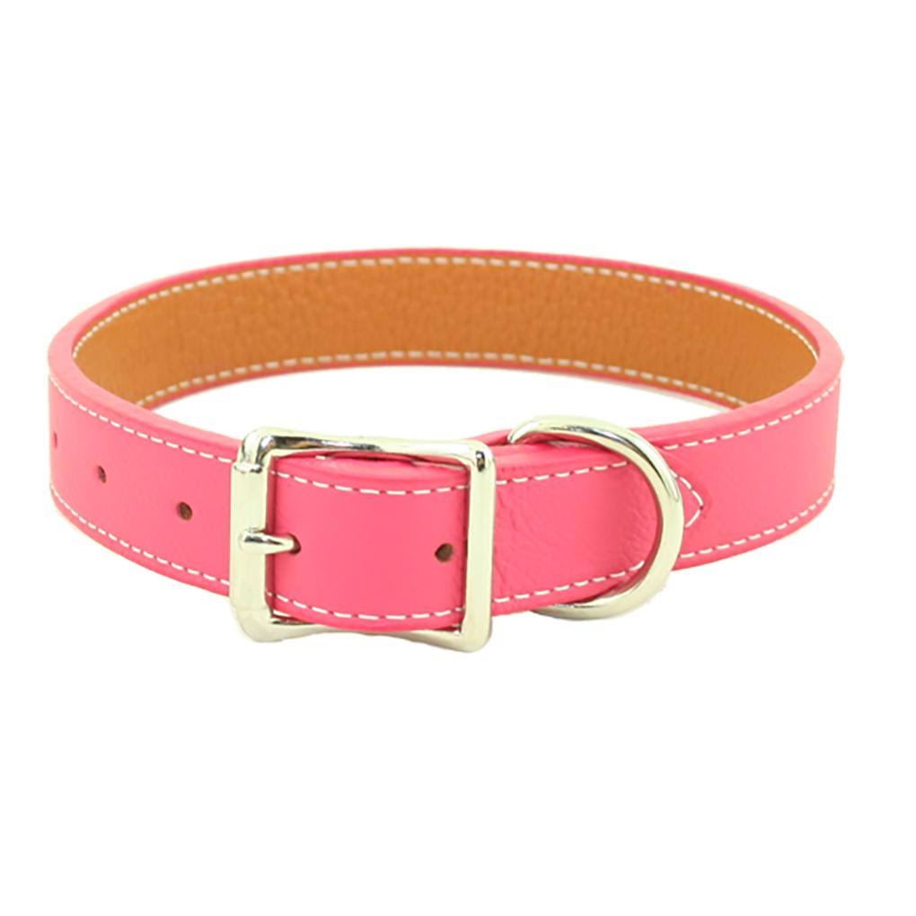 Leather Dog Collar I69921