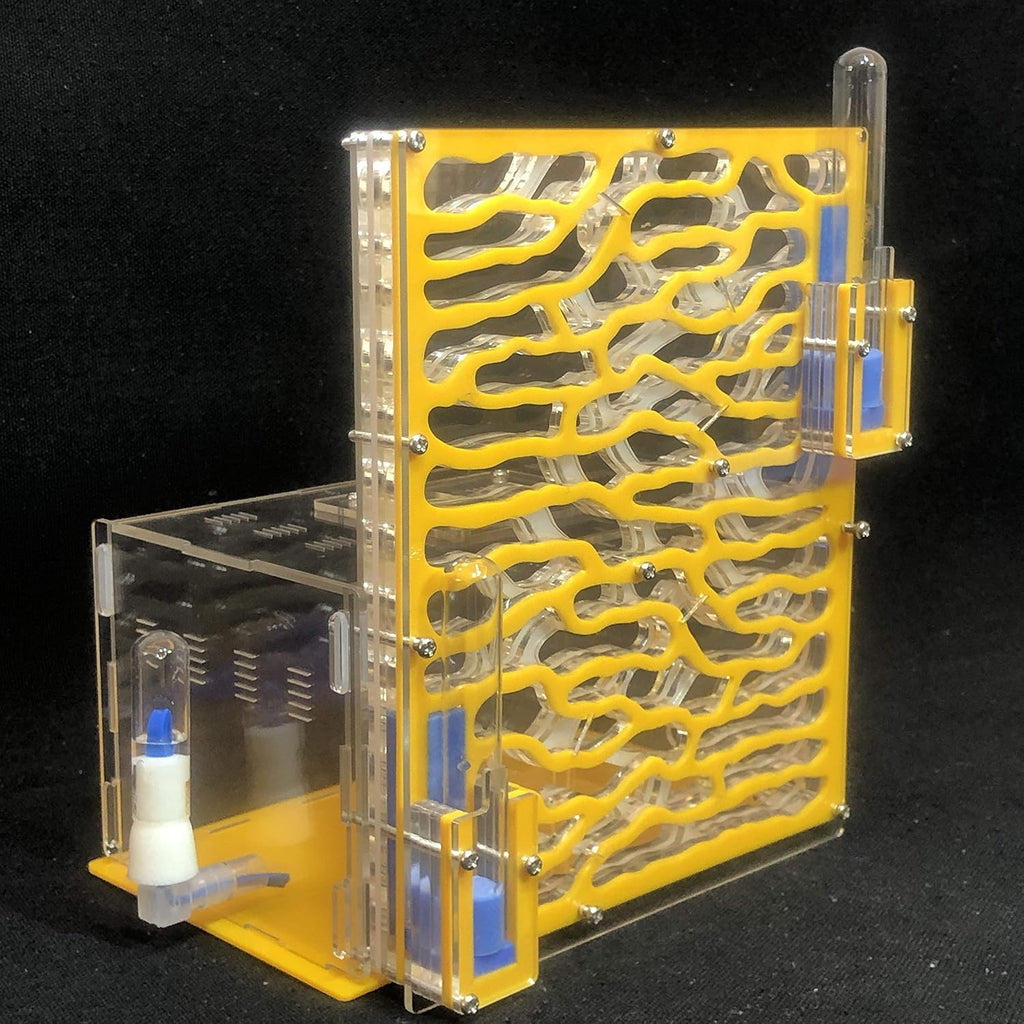 Large Viewing Area Ant Habitat (White) K35250