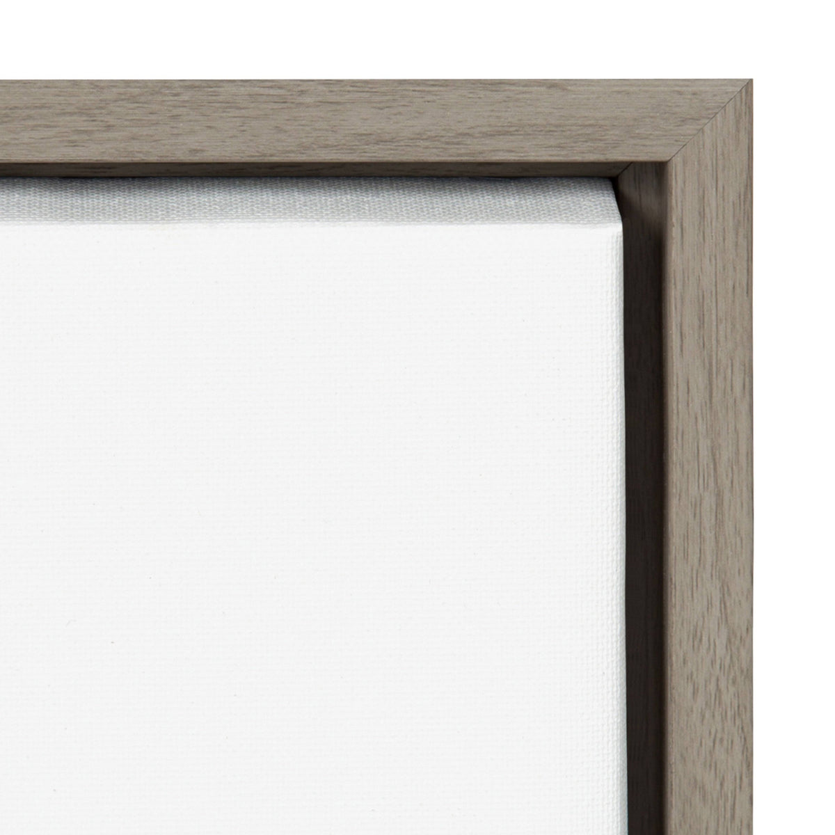 Framed Canvas Y74866