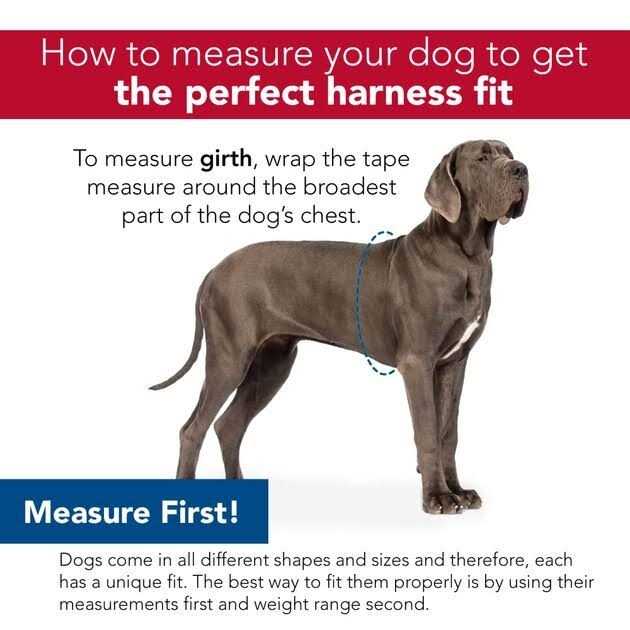 Adjustable Metallic Dog Harness K227
