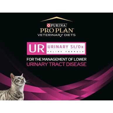 Wet Cat Food E529952