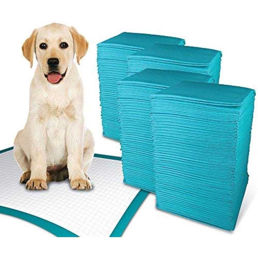 Extra Large Training Pads I2983