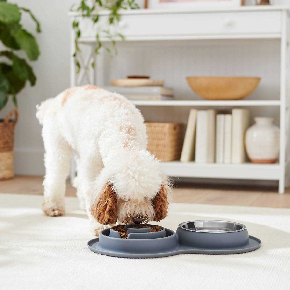 Silicone Slow Feeder Mat with Stainless Steel Bowl T844