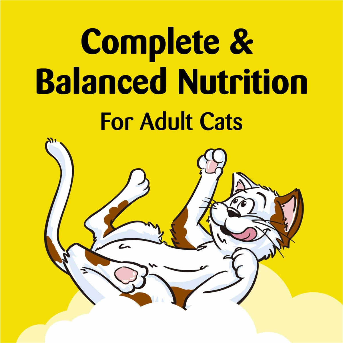 Cat Treats O759477