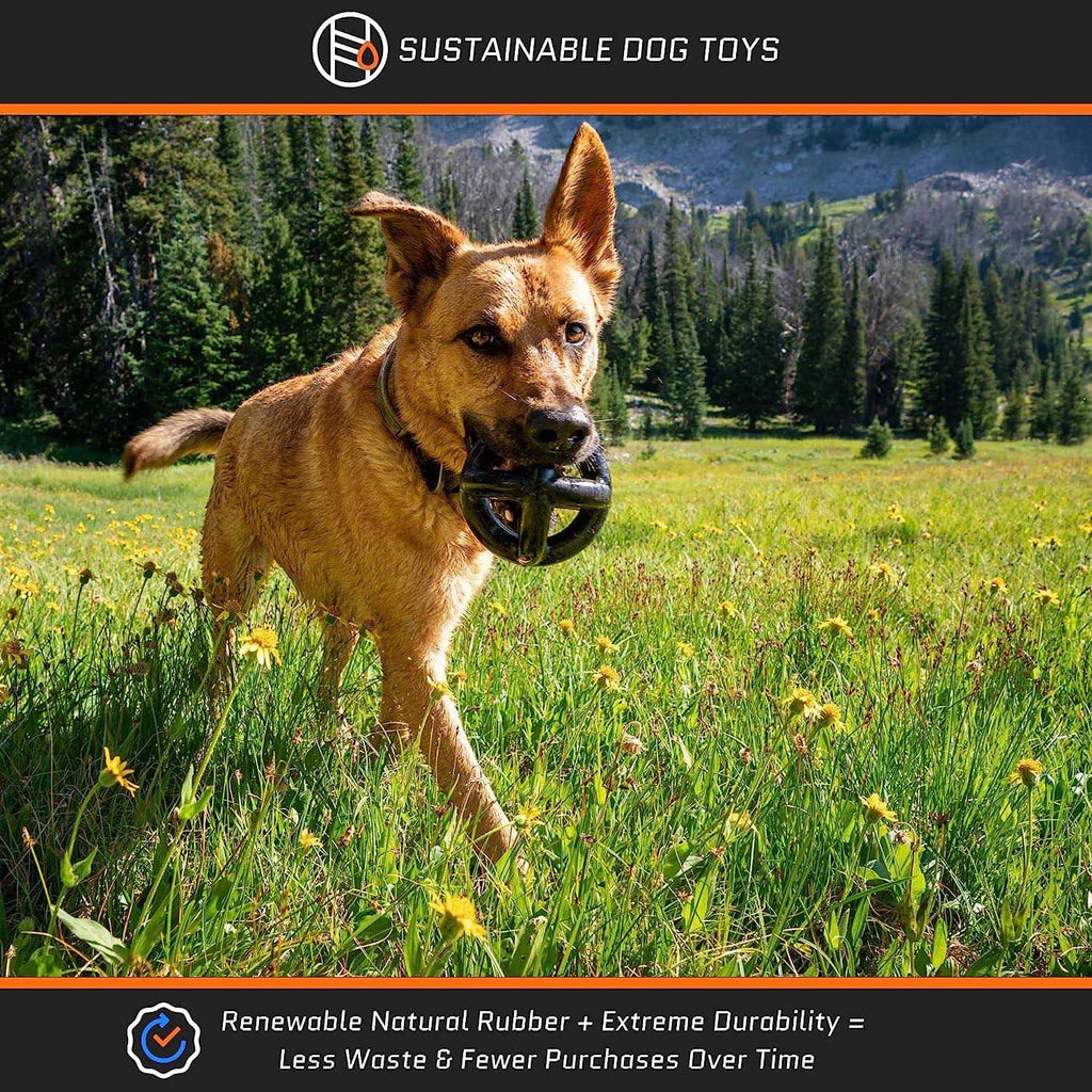 Tough Dog Toys for Aggressive Chewers Large Breed L3570