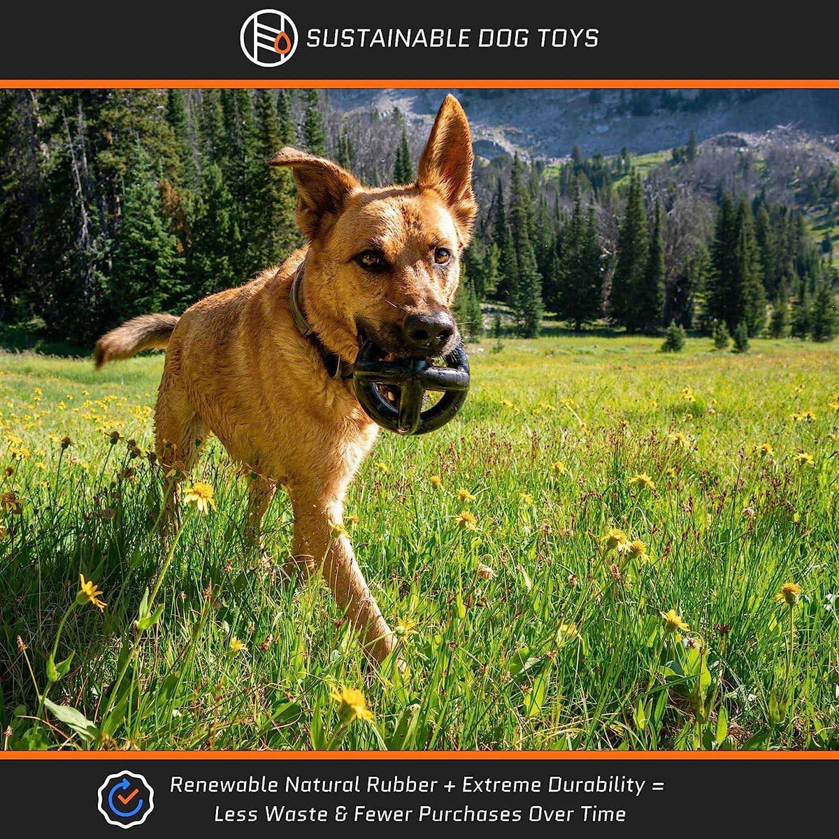 Tough Dog Toys for Aggressive Chewers Large Breed L3570