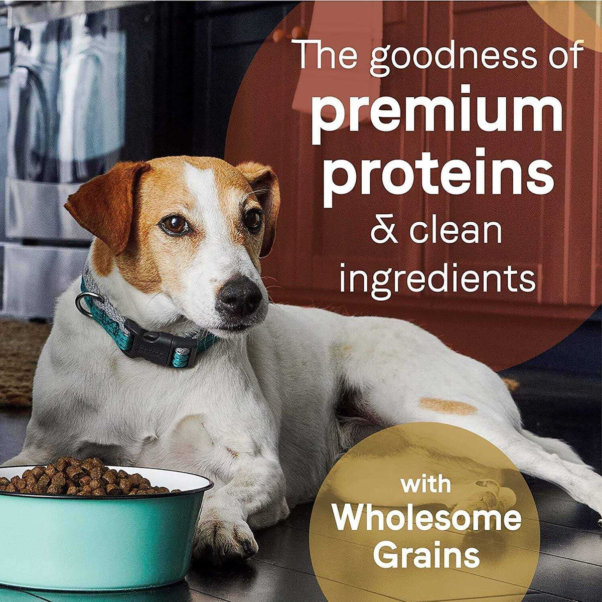 Beef & Barley Recipe Dry Dog Food S6184