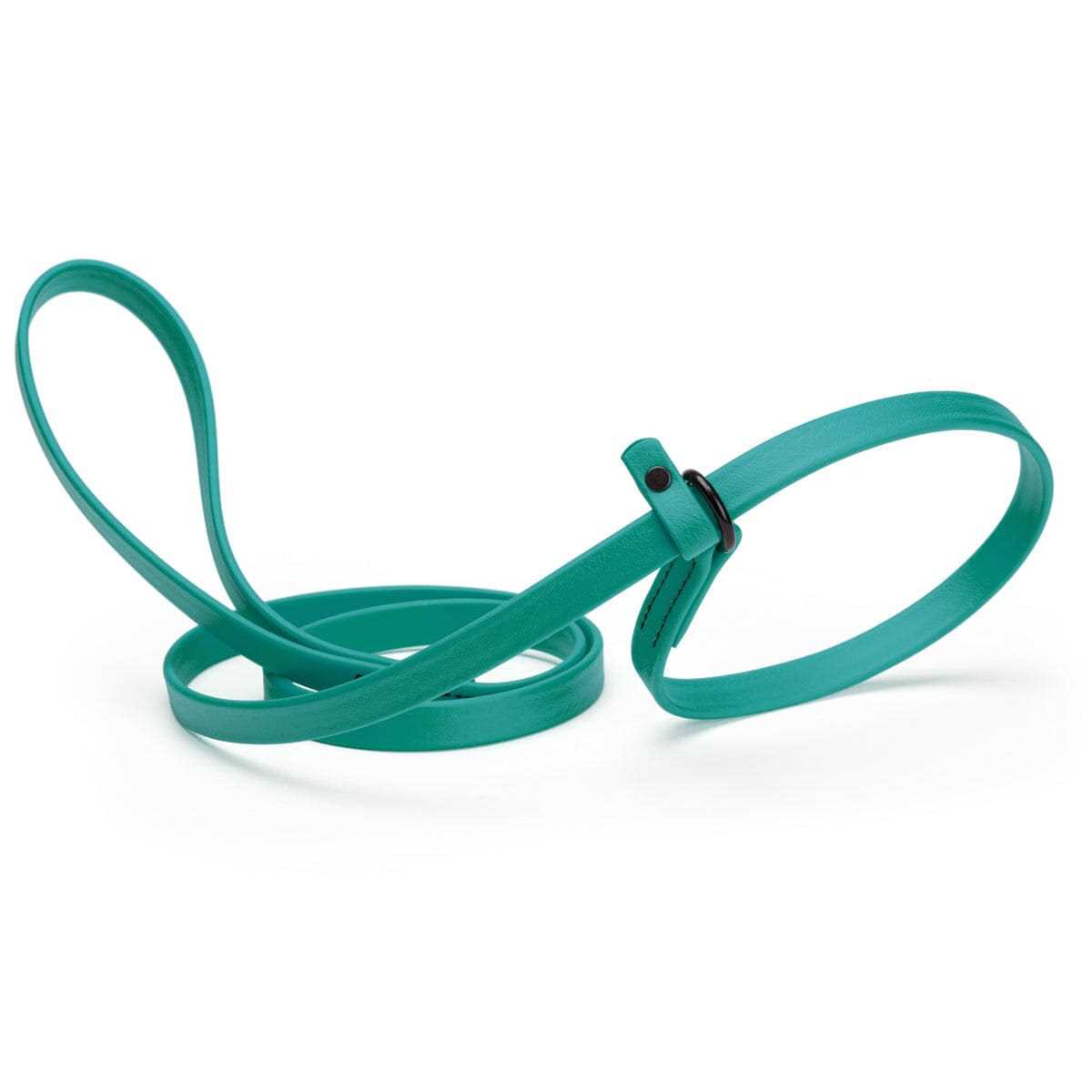 Biothane Slip Dog Leash U41700