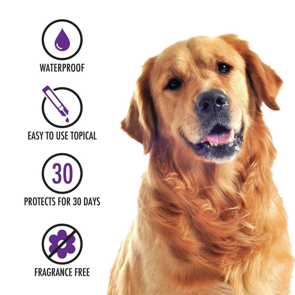 Topical Treatment for Dogs U895