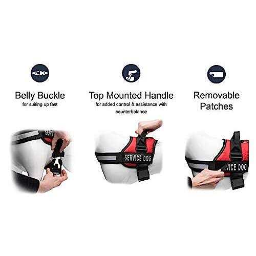 Service Dog Vest with Hook and Loop Straps and Detachable Backpacks in 7 Sizes Y388182