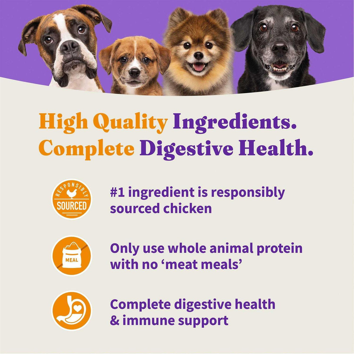 Red Meat Recipe Dry Dog Food Y955288