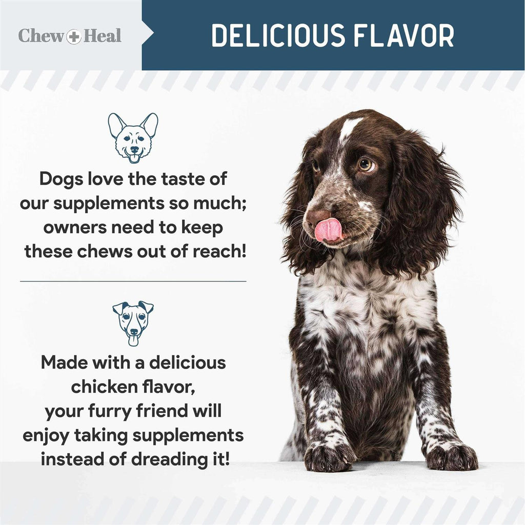 Digestive Enzymes & Probiotics Supplement for Dogs P864433