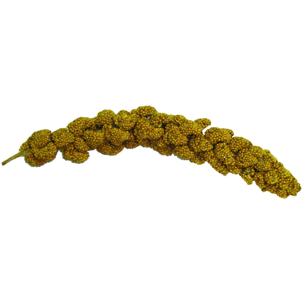 Millet Spray 16 oz G795468