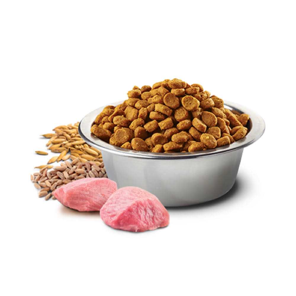 Chicken & Pomegranate Adult Dry Cat Food K5692