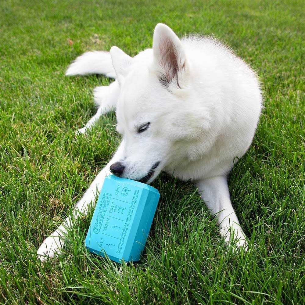 Dog Treat Toy R32315