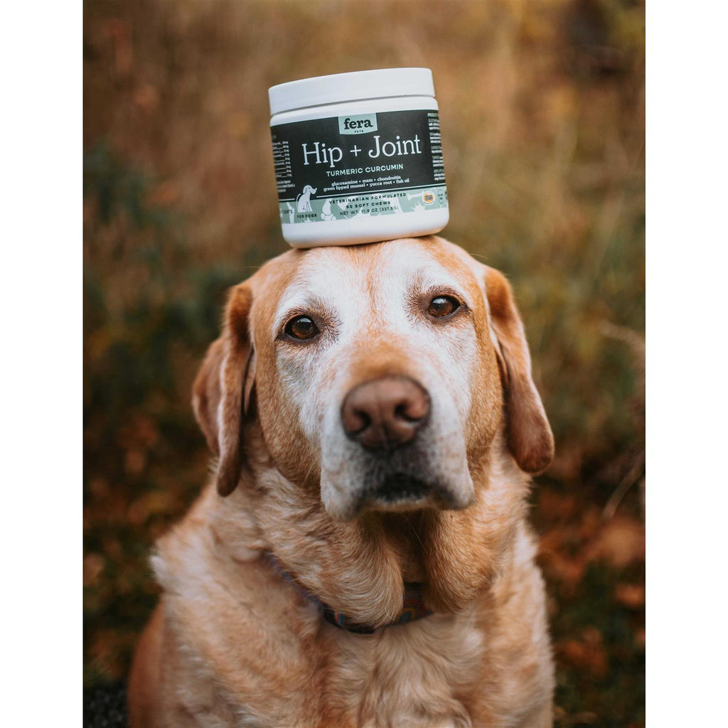 Hip & Joint Soft Chew Dog Supplement B341