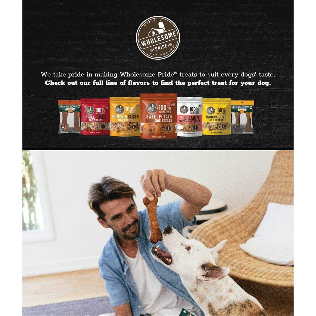 Natural & Healthy Dog E3580