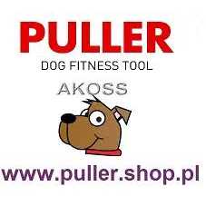 Waterproof Dog Collar with QR passport R4280