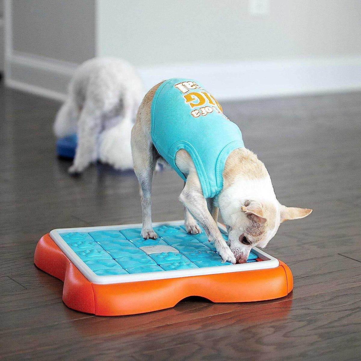 Dog Puzzle Toy M467