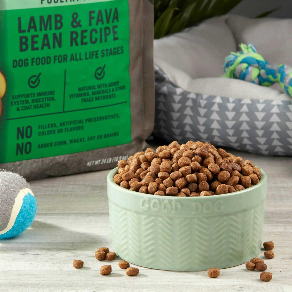 Grain Free Lamb & Fava Bean Recipe Dog Food S6396