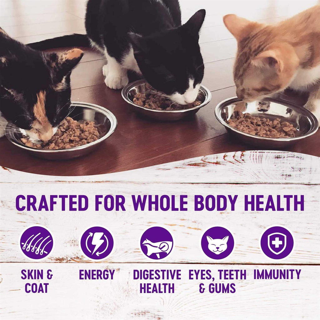 Healthy Indulgence Cat Food Y89488