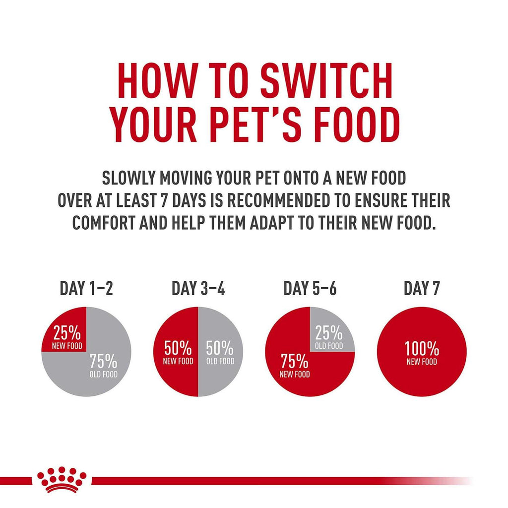 Cat Dry Food T621