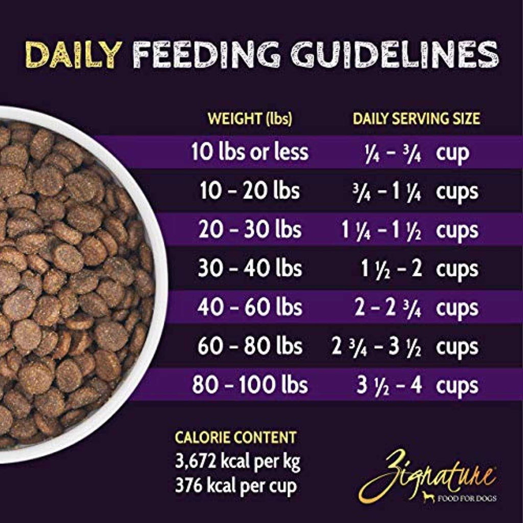 Trout & Salmon Formula Dry Dog Food B4301