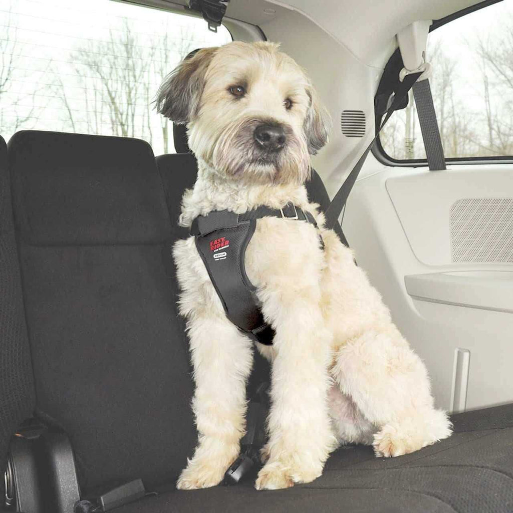 Car Harness J39232