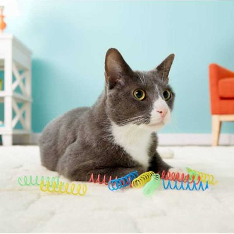 Colorful Springs Cat Toy V424404