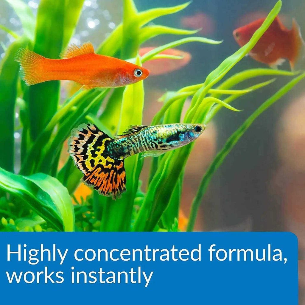 Aqua Essential Water Conditioner X64283