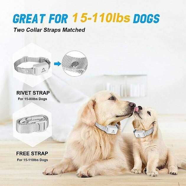 Anti-Bark Training Dog Collar M3938