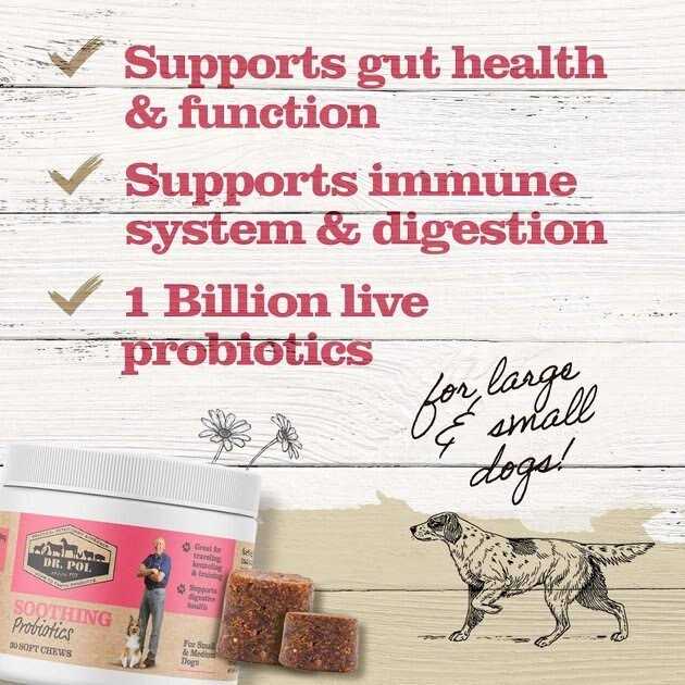 Probiotic Chews for Dogs Small & Medium X5772